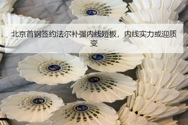 北京首钢签约法尔补强内线短板，内线实力或迎质变