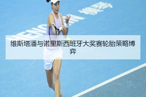 维斯塔潘与诺里斯西班牙大奖赛轮胎策略博弈